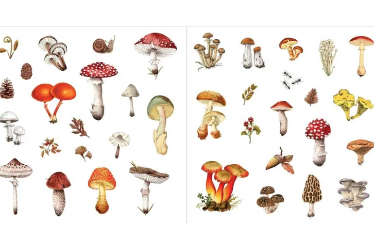 Peter Pauper Sticker Book – Bunches of Botanicals! (over 500 stickers!)