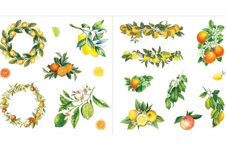 Peter Pauper Sticker Book – Bunches of Botanicals! (over 500 stickers!)