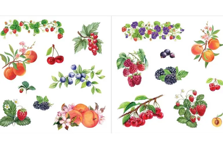 Peter Pauper Sticker Book – Bunches of Botanicals! (over 500 stickers!)