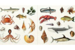 Peter Pauper Sticker Book – Loads of Ephemera! (over 580 stickers!)