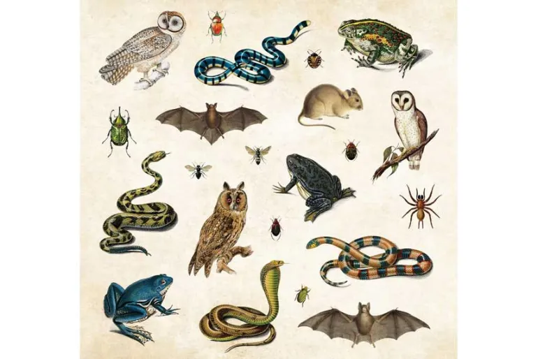 Peter Pauper Sticker Book – Mystical Ephemera! (over 900 stickers!)