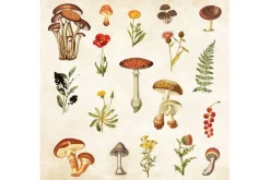 Peter Pauper Sticker Book – Mystical Ephemera! (over 900 stickers!)