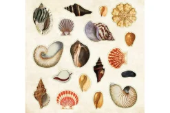 Peter Pauper Sticker Book – Poseidon’s Kingdom (over 700 stickers!)