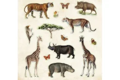 Peter Pauper Sticker Book – Zoological Ephemera (over 680 stickers!)
