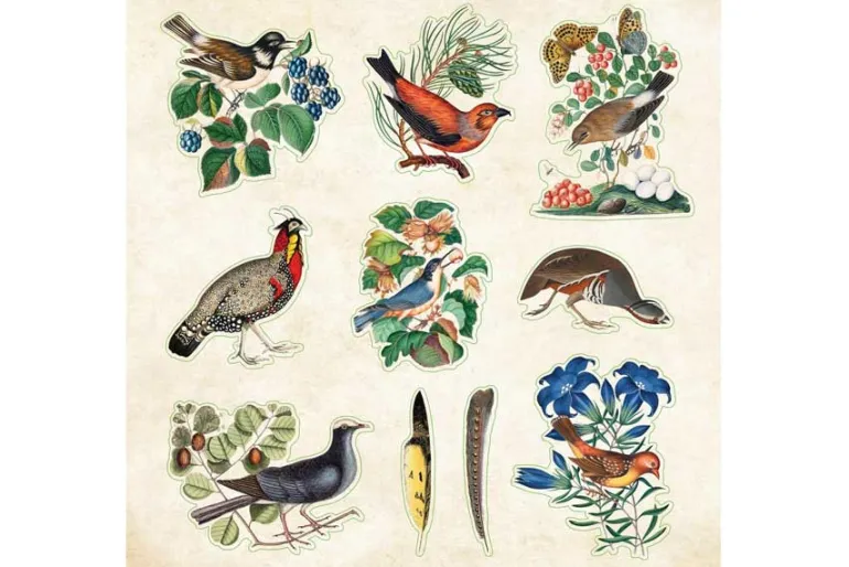 Peter Pauper Sticker Book – Zoological Ephemera (over 680 stickers!)