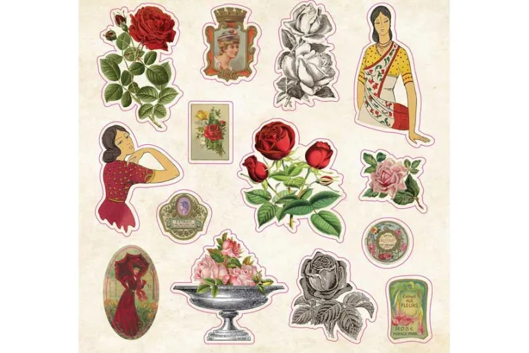 Peter Pauper Sticker Book – Zoological Ephemera (over 680 stickers!)