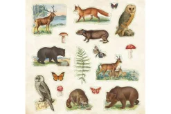 Peter Pauper Sticker Book – Zoological Ephemera (over 680 stickers!)