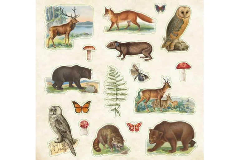 Peter Pauper Sticker Book – Zoological Ephemera (over 680 stickers!)