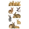 Photo Real Stickers – Bunny