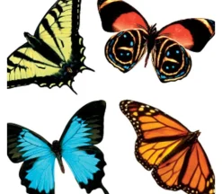 Photo Real Stickers – Butterfly