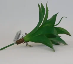 Pick – Aloe Succulent – 9-inch