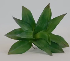 Pick – Aloe Succulent – 9-inch