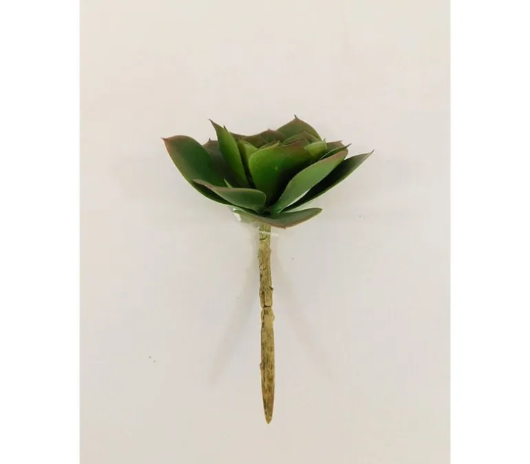 Pick – Echeveria – 5.5-inch