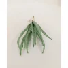 Pick – Haworthia – 11-inch