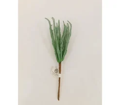Pick – Haworthia – 11-inch