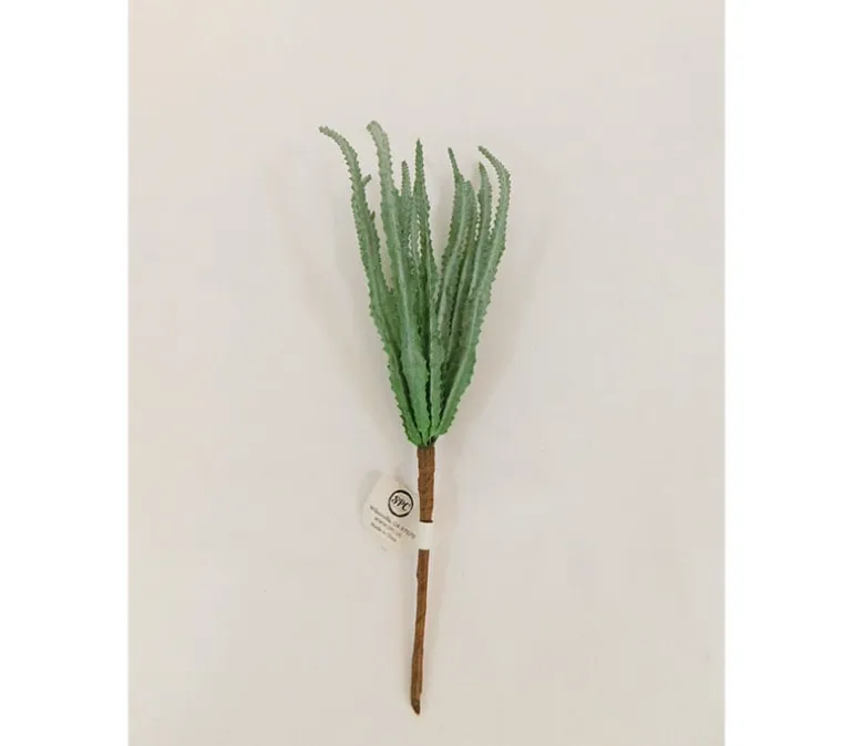 Pick – Haworthia – 11-inch