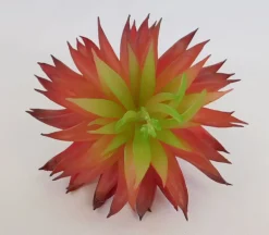 Pick – Succulent Long Leaf – 7-inch