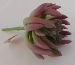 Pick – Succulent Long Leaf – 7-inch