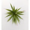 Pick – Tillandsia – 8-inch