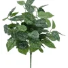 21″ Piggyback Plant Bush