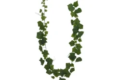 21″ Piggyback Plant Bush