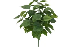 21″ Piggyback Plant Bush