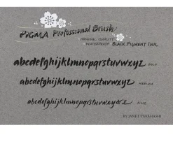 Pigma Professional Black Pen Set – Brush – 3 Piece