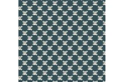 Pirates Ahoy! Skulls on Teal