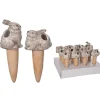 Plant Waterer – 1 Bunny – Style Shipped is Randomly Picked