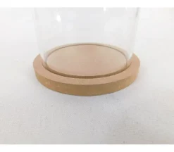 Plastic Dome with Wooden Base
