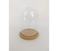 Plastic Dome with Wooden Base