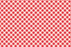 Playtime Flannel Bias Gingham in Red and White