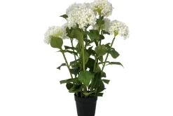 3′ Potted Hydrangea, Cream