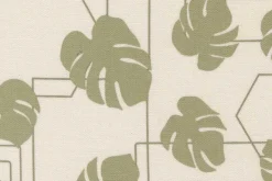 Potted Monstera Geo on Ash