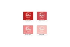 Premium Dye Ink Cube Pack : Urban Raincoat