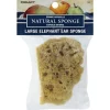 Pro Art Sponge – Natural Elephant Ear – 3-4-inch Large