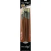 Protege Brush Set – Hog Bristle – Long Handle – 5 Piece