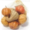 Pumpkin Gourd Set – 12 Piece