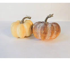 Pumpkin Set – 6 Piece