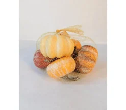 Pumpkin Set – 6 Piece