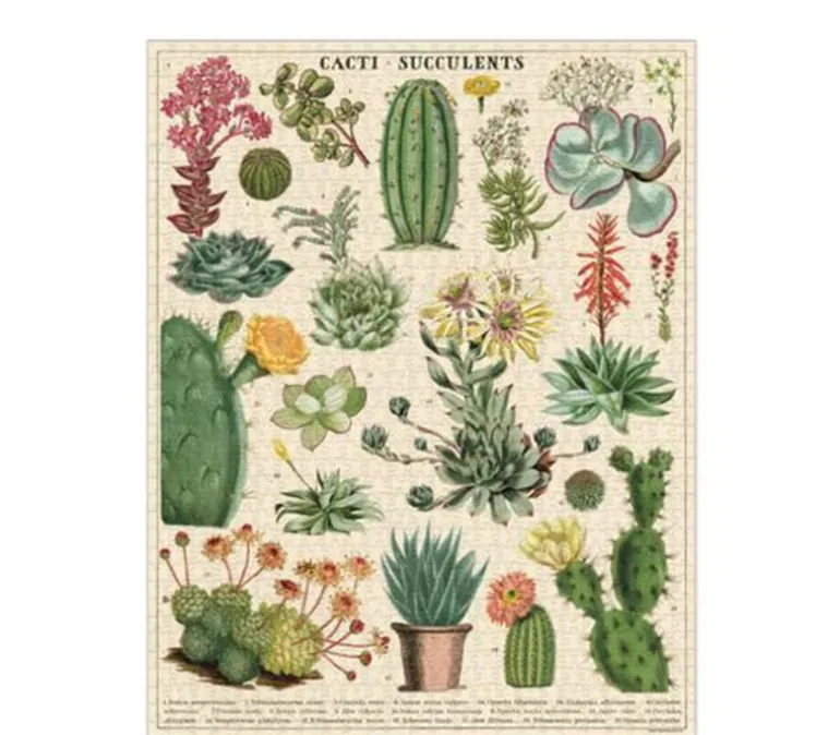 Puzzle – Vintage Cacti and Succulents 1000 Piece