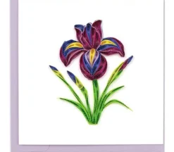 QuillingCard Quilled Greeting Card – Iris Flower