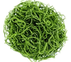 Raffia – Natural – 3-ounce