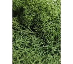Raffia – Natural – 3-ounce