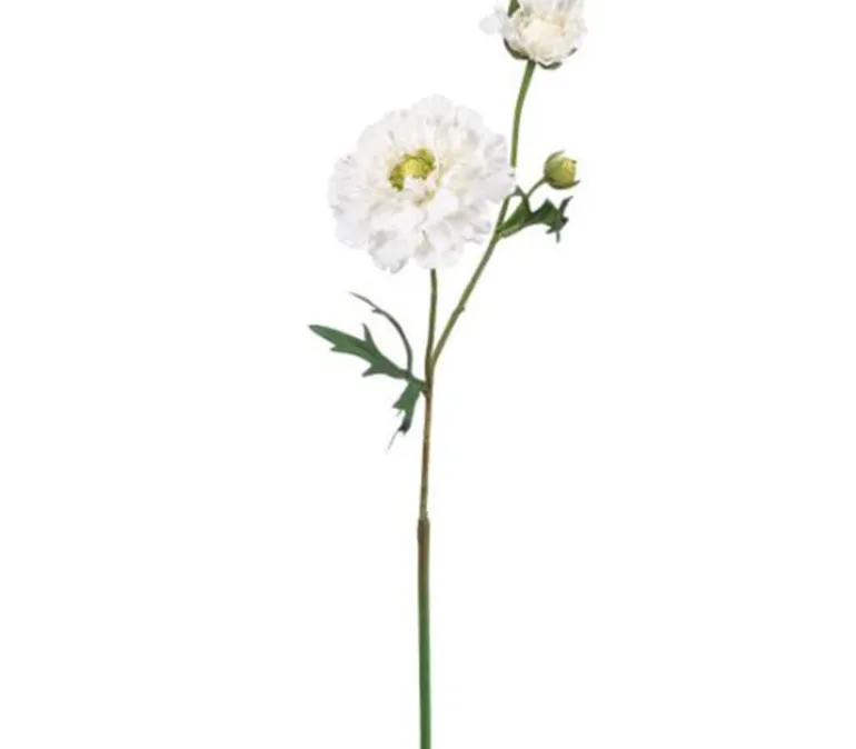 19″ Ranunculus Spray, Cream