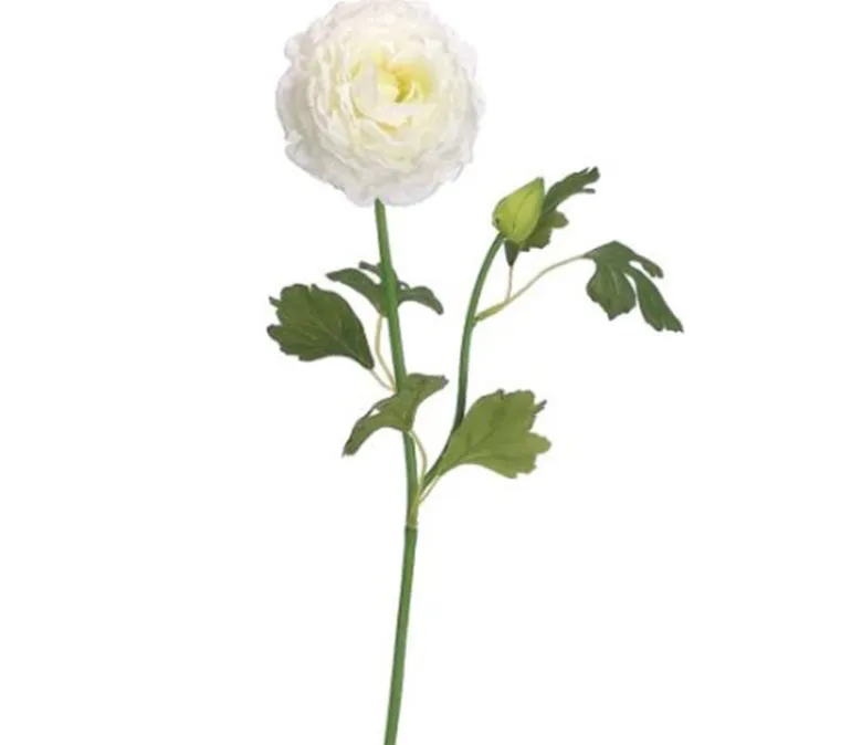 19″ Ranunculus Spray, Cream