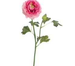 19″ Ranunculus Spray, Cream