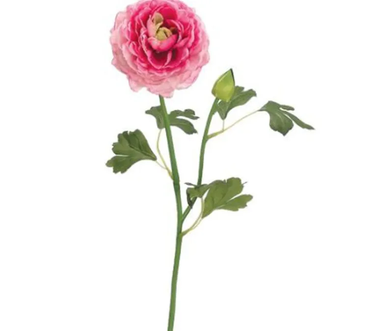 19″ Ranunculus Spray, Cream