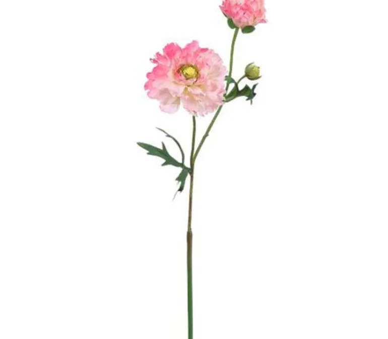 19″ Ranunculus Spray, Cream