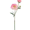 23″ Ranunculus Spray, Cream
